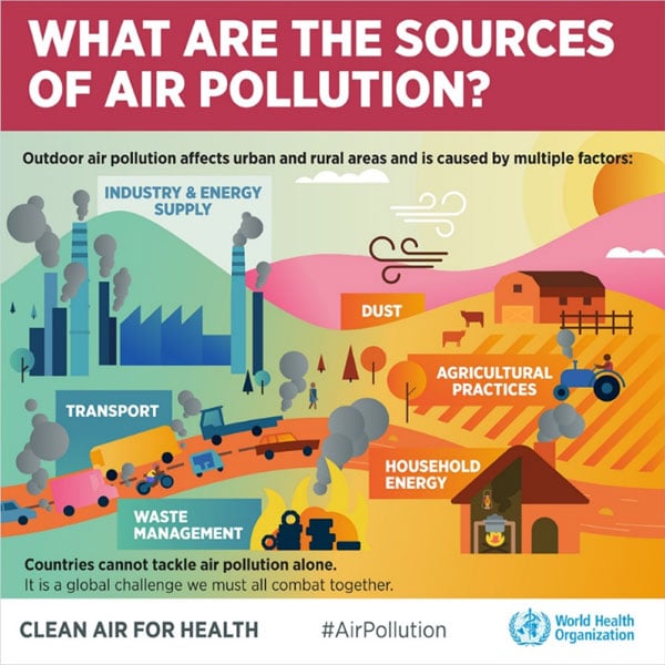 Figure 1: Where does air pollution come from?