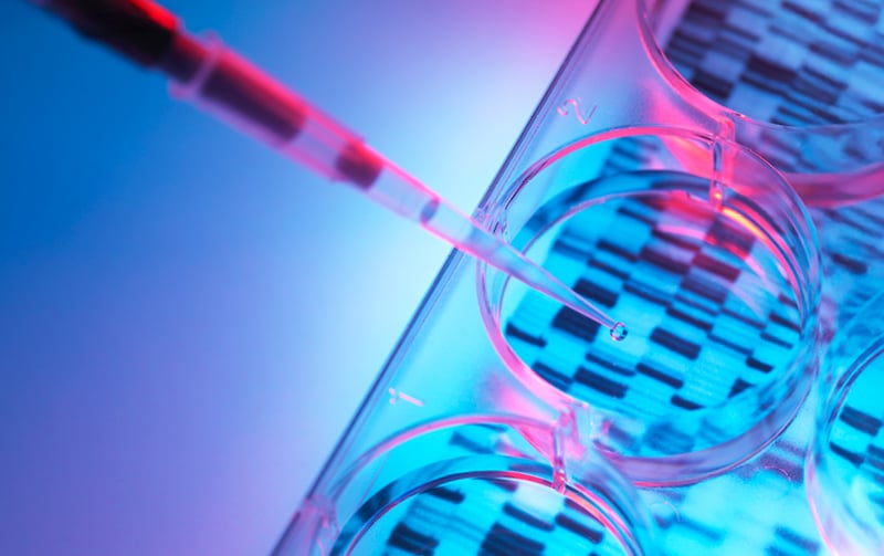 Pipette above a glass dish in a lab